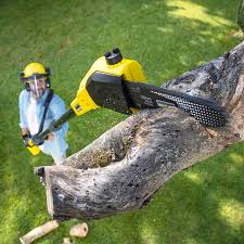 Best Lawn Disease Treatment  in Hideaway, TX